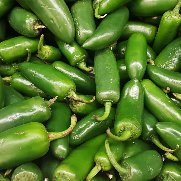 Jalapenos Fresh Produce